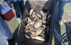 Catch of the day!